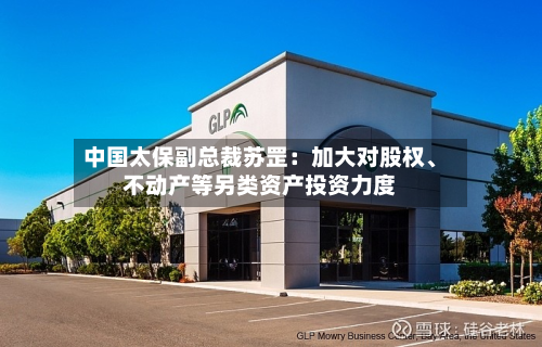 中国太保副总裁苏罡：加大对股权、不动产等另类资产投资力度-第2张图片