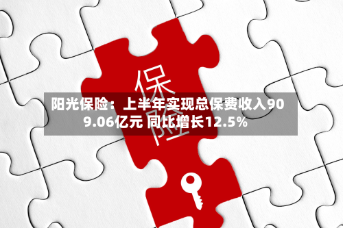 阳光保险：上半年实现总保费收入909.06亿元 同比增长12.5%-第3张图片