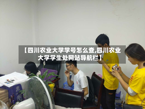 【四川农业大学学号怎么查,四川农业大学学生处网站导航栏】