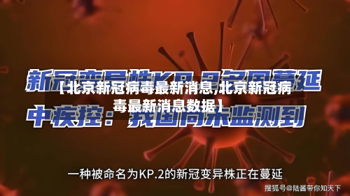 【北京新冠病毒最新消息,北京新冠病毒最新消息数据】-第2张图片