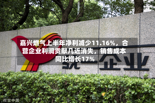 嘉兴燃气上半年净利减少11.16%，合营企业利润贡献几近消失	，销售成本同比增长17%-第2张图片