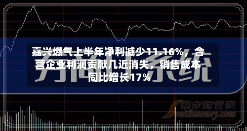 嘉兴燃气上半年净利减少11.16%，合营企业利润贡献几近消失，销售成本同比增长17%-第3张图片