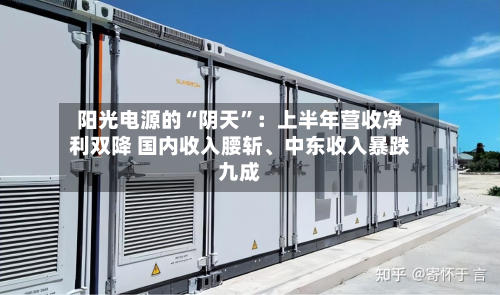 阳光电源的“阴天	”：上半年营收净利双降 国内收入腰斩	、中东收入暴跌九成-第3张图片