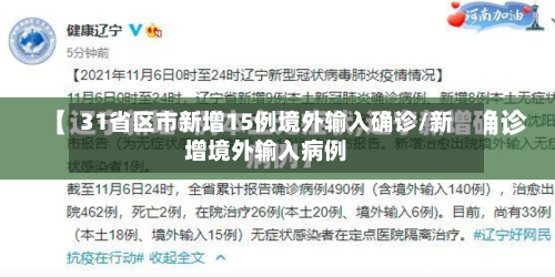 31省区市新增15例境外输入确诊/新增境外输入病例