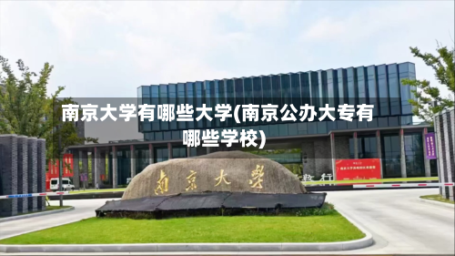 南京大学有哪些大学(南京公办大专有哪些学校)-第2张图片