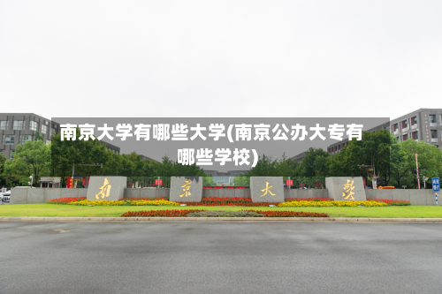 南京大学有哪些大学(南京公办大专有哪些学校)