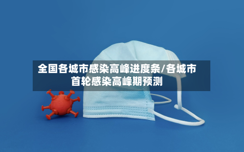 全国各城市感染高峰进度条/各城市首轮感染高峰期预测-第3张图片