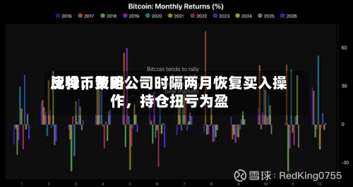 比特币费用反弹，策略公司时隔两月恢复买入操作，持仓扭亏为盈-第2张图片