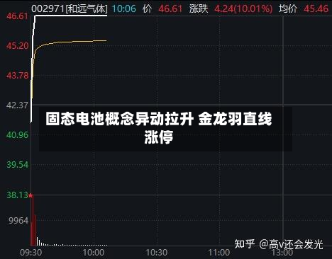 固态电池概念异动拉升 金龙羽直线涨停