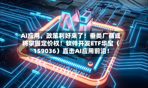 AI应用，政策利好来了！垂类厂商或将掌握定价权！软件开发ETF华宝（159036）直击AI应用前沿！-第2张图片
