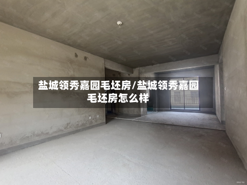 盐城领秀嘉园毛坯房/盐城领秀嘉园毛坯房怎么样