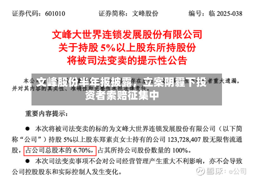 文峰股份半年报披露	，立案阴霾下投资者索赔征集中-第2张图片