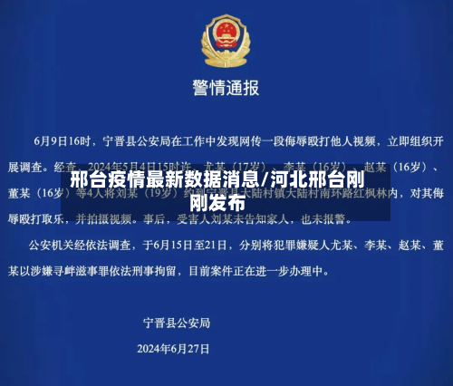 邢台疫情最新数据消息/河北邢台刚刚发布-第3张图片