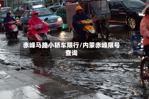 赤峰马路小轿车限行/内蒙赤峰限号查询-第2张图片