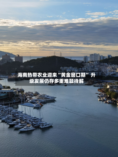 海南热带农业迎来“黄金窗口期” 升级发展仍存多重难题待解-第2张图片