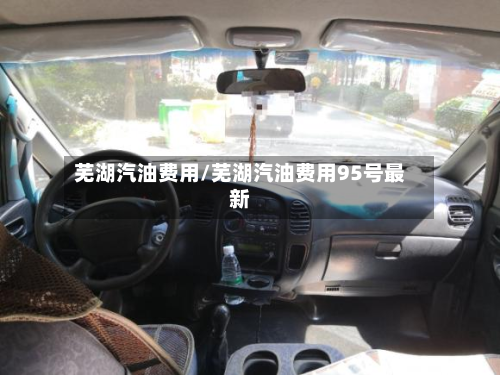 芜湖汽油费用/芜湖汽油费用95号最新-第3张图片