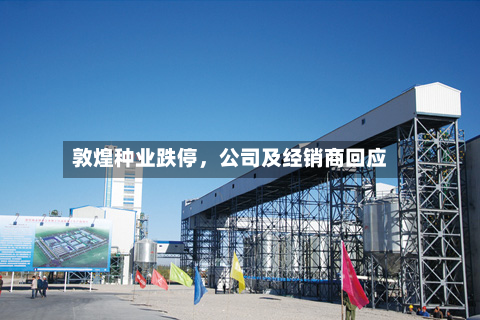 敦煌种业跌停	，公司及经销商回应-第2张图片