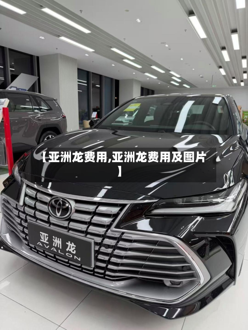 【亚洲龙费用,亚洲龙费用及图片】