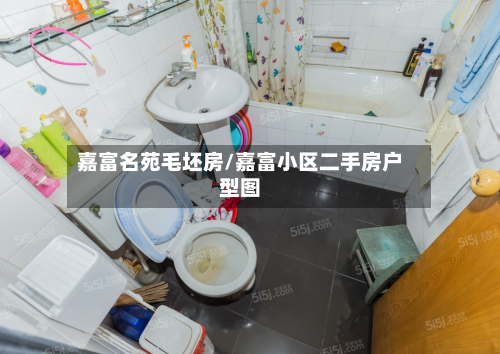 嘉富名苑毛坯房/嘉富小区二手房户型图