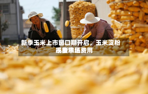 新季玉米上市窗口期开启，玉米淀粉现货市场费用不断承压-第1张图片