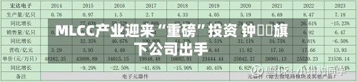 MLCC产业迎来“重磅	”投资 钟睒睒旗下公司出手-第2张图片