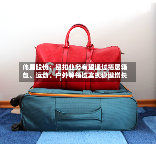 伟星股份：钮扣业务有望通过拓展箱包	、运动、户外等领域实现稳健增长-第1张图片