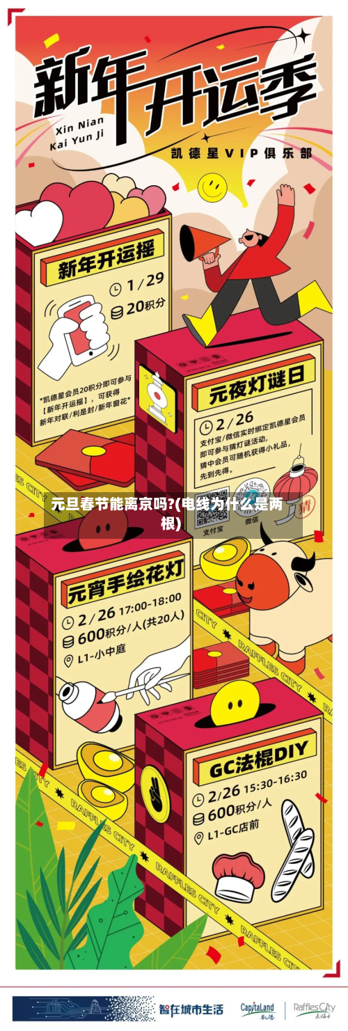 元旦春节能离京吗?(电线为什么是两根)