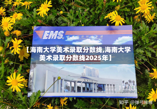 【海南大学美术录取分数线,海南大学美术录取分数线2025年】