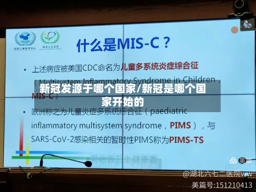 新冠发源于哪个国家/新冠是哪个国家开始的-第2张图片