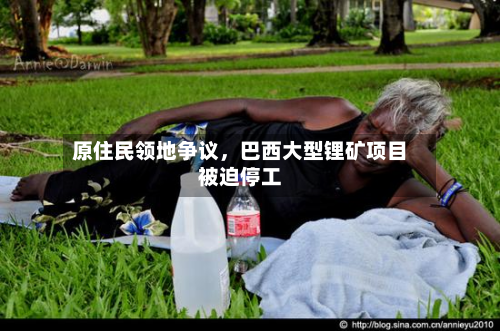 原住民领地争议，巴西大型锂矿项目被迫停工-第2张图片