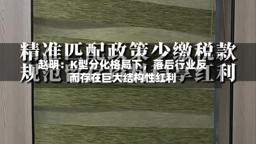 赵明：K型分化格局下，落后行业反而存在巨大结构性红利-第2张图片