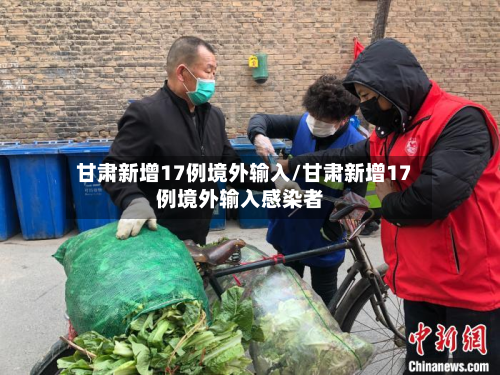甘肃新增17例境外输入/甘肃新增17例境外输入感染者-第2张图片