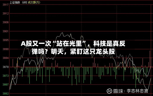 A股又一次“站在光里”，科技是真反弹吗？明天，紧盯这只龙头股-第2张图片