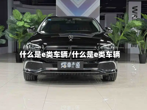 什么是e类车辆/什么是e类车辆-第3张图片