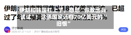 伊朗和韩国杠上了，怒怼“你敢出兵试试”！这俩国家还有70亿美元的“旧恨”-第2张图片