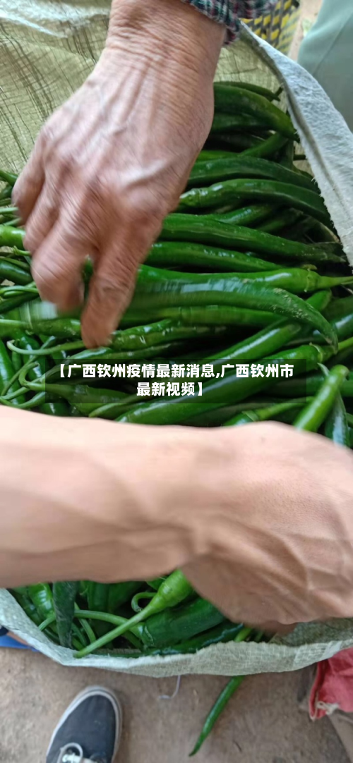 【广西钦州疫情最新消息,广西钦州市最新视频】-第2张图片