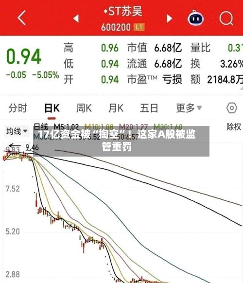 17亿资金被“掏空	”！这家A股被监管重罚-第2张图片