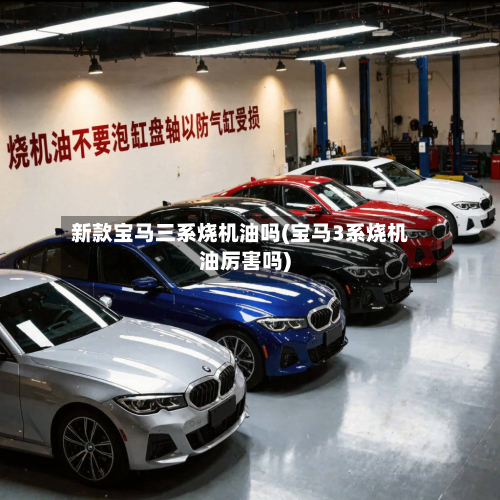 新款宝马三系烧机油吗(宝马3系烧机油厉害吗)-第3张图片