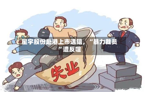 星宇股份赴港上市遇阻	，“暴力裁员	”遭反噬-第3张图片