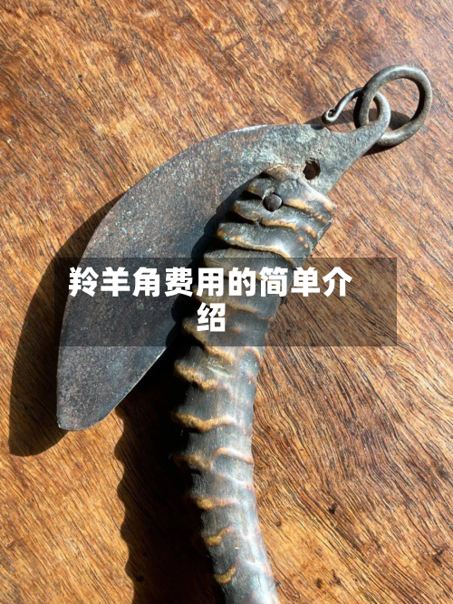 羚羊角费用的简单介绍-第2张图片