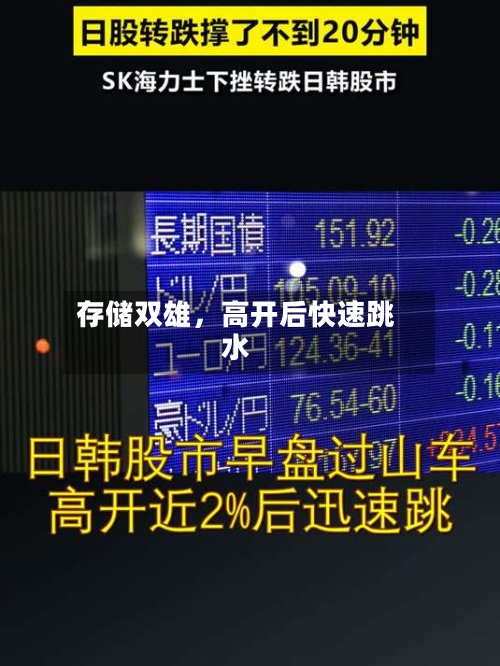 存储双雄，高开后快速跳水-第2张图片