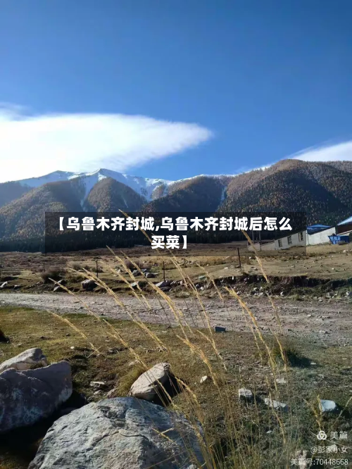 【乌鲁木齐封城,乌鲁木齐封城后怎么买菜】