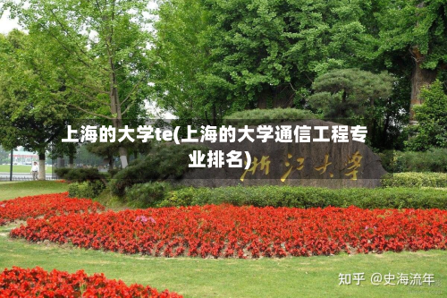上海的大学te(上海的大学通信工程专业排名)-第2张图片