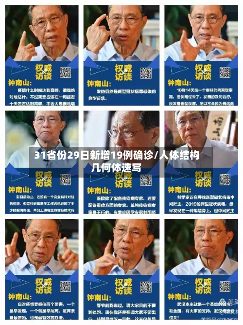 31省份29日新增19例确诊/人体结构几何体速写-第2张图片