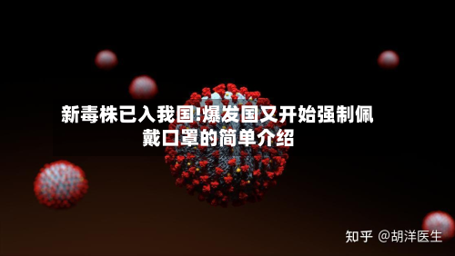 新毒株已入我国!爆发国又开始强制佩戴口罩的简单介绍-第2张图片