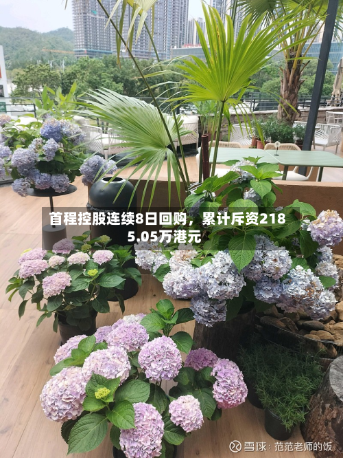 首程控股连续8日回购，累计斥资2185.05万港元-第2张图片