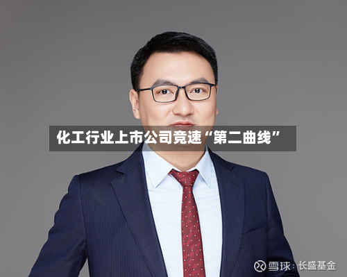 化工行业上市公司竞速“第二曲线	”-第2张图片