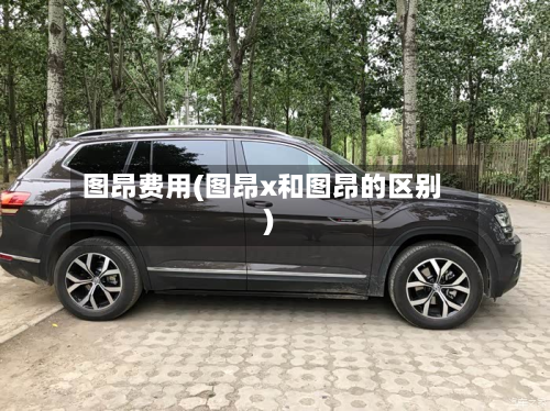 图昂费用(图昂x和图昂的区别)-第2张图片