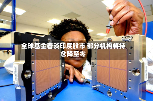 全球基金看淡印度股市 部分机构将持仓降至零-第3张图片