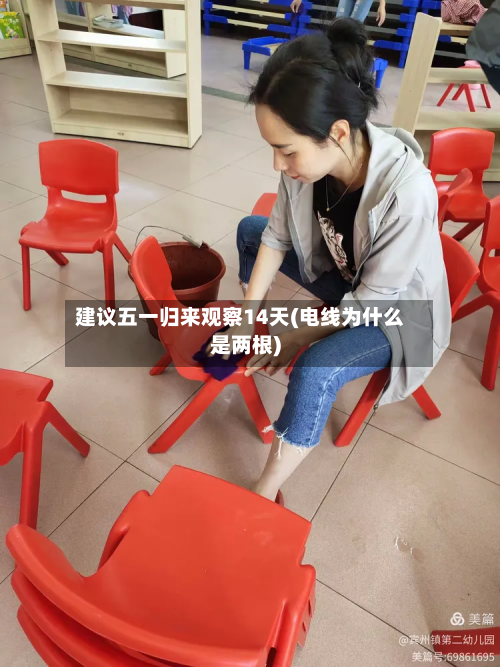 建议五一归来观察14天(电线为什么是两根)-第2张图片